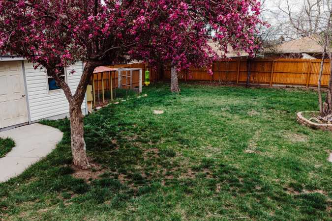 Private Dog Park in Lakewood - Lakewood, Colorado 1