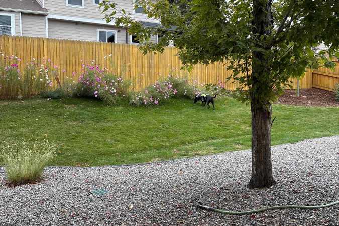 Megan's Fully Fenced Yard For Dogs To Rent In Broomfield - Broomfield, Colorado 1
