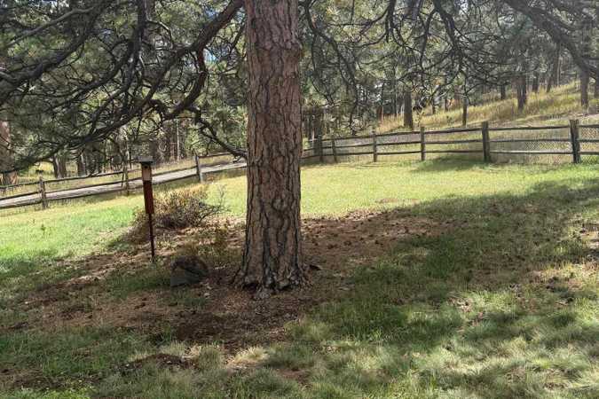 Brianna's 1 Acre Fully Fenced Private Dog Park In Evergreen - Evergreen, Colorado 1