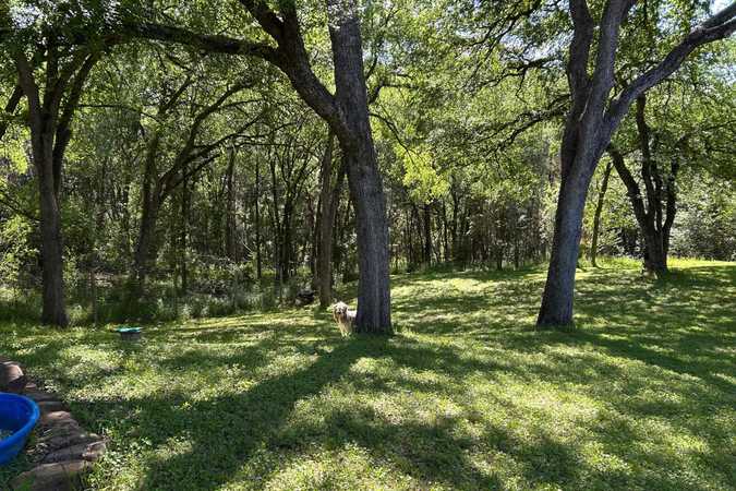 Perfect 0.5 acre Fully Fenced Private Dog Park In Austin - Austin, Texas 1