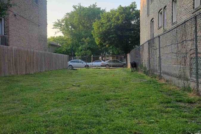 Cooper's Fully Fenced Yard For Dogs To Rent In Chicago - Chicago, Illinois 1