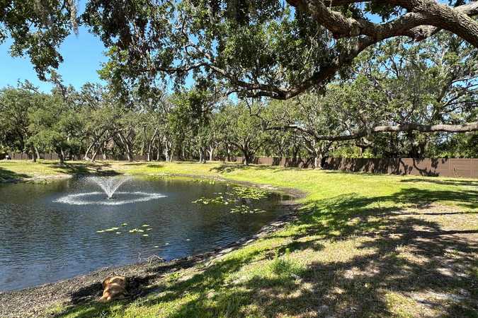 Oak & Pond 5 Acre Fully Fenced Private Yard in Parrish - Parrish, Florida 1