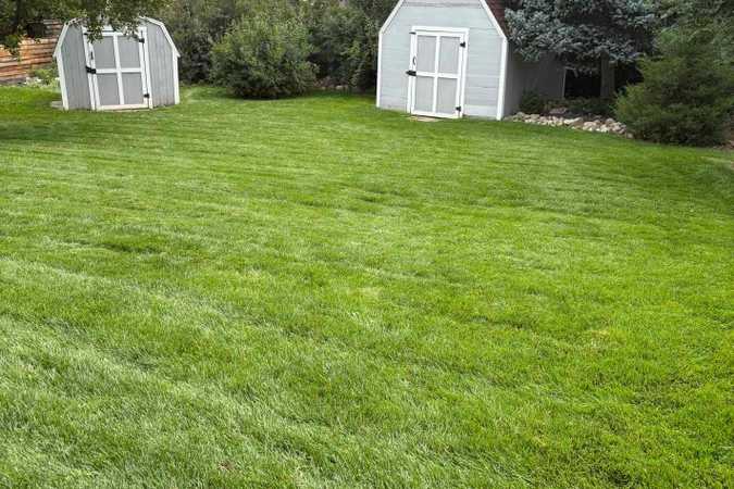 Toddy & Coco's Sniffspot Lawn Oasis - Arvada, Colorado 1