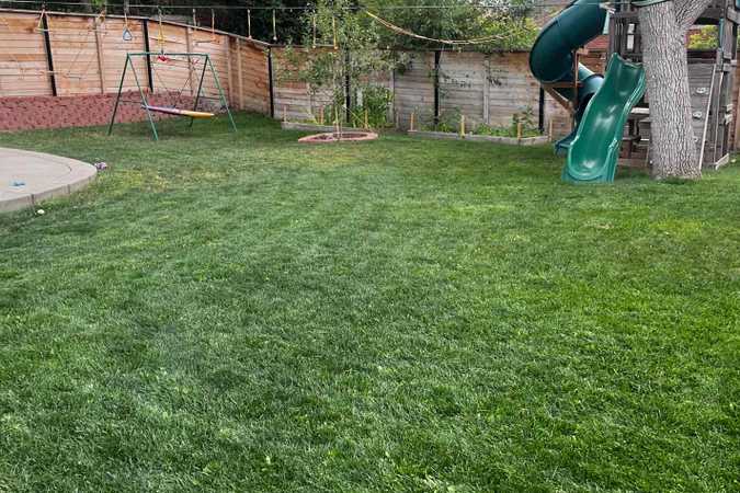 Spacious, Fully-Fenced Yard in Denver with Shaded Patio & Play Area – Perfect for Dogs and Their People - Denver, Colorado 1