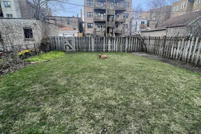 Zoomies Zoomies Zoomies - Chicago, Illinois 1