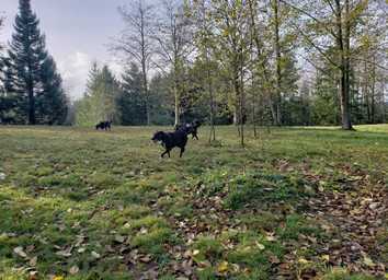 Host Tips: Ellen K. What Makes Sniffspot Successful for Me thumbnail