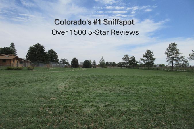 Imperia's Canine Connection 1+ Acre Private Dog Park In Aurora - Aurora, Colorado 1
