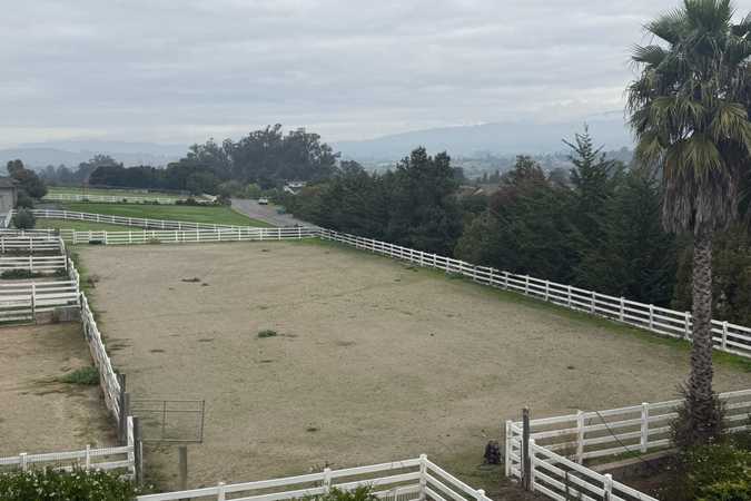 Amy's 1 Acre Fully Fenced Private Dog Park/Arena In Petaluma - Petaluma, California 1
