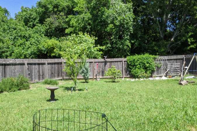 Lanahan's Lounge for Pups & Parents - Austin, Texas 1