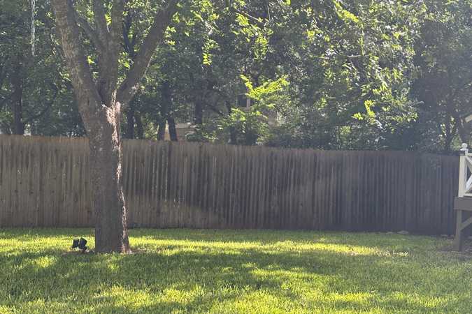 Fully Fenced Yard For Dogs To Rent In Austin - Austin, Texas 1