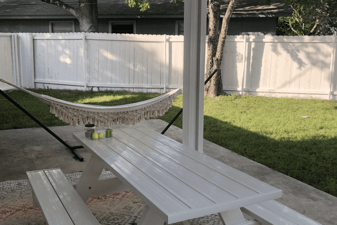 Fully Fenced Yard For Big or Small Dogs in Austin - Austin, Texas 1