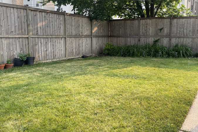 Rocky's Spot - Albany Park - Chicago, Illinois 1