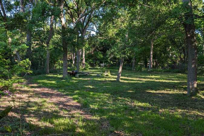 🌲 Peaceful Fenced Yard In the Woods 🌲 🐕 - Austin, Texas 1