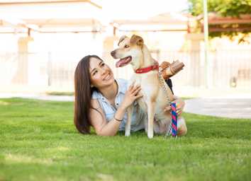 Service Dog Training Costs: DIY vs. Pro thumbnail