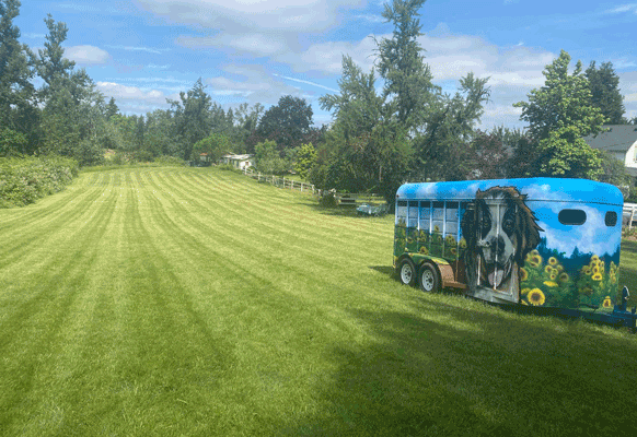 Dog fields thumbnail