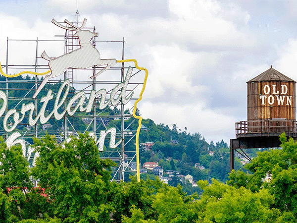 The Best Dog Trainers in Portland, OR of 2026 thumbnail