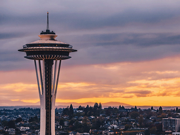 The Best Dog Trainers in Seattle, WA of 2026 thumbnail