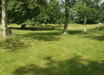 Host Tips: Fran T. Providing Great Guest Service at our Spot thumbnail