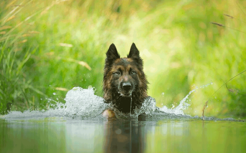 Tag @sniffspot in your posts and stories, we often reshare them!